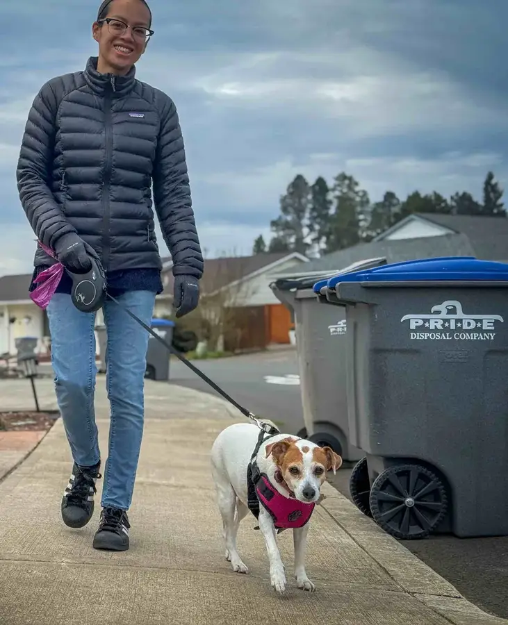 A happy dog on a neighborhood walk